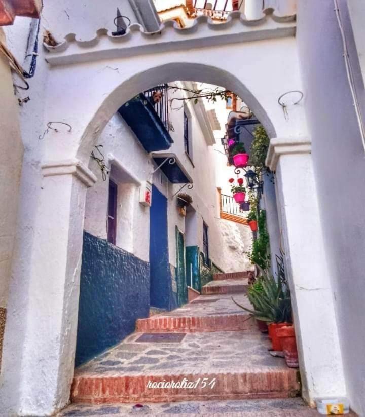 The Nook Daire Canillas de Aceituno Dış mekan fotoğraf